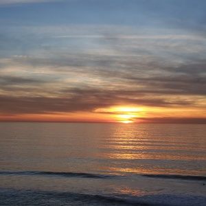 Meet your Posher, Samuel